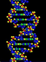 59094main_DNA_Molecule